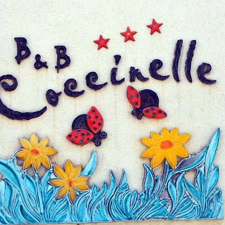 B&B Coccinelle San Vito Lo Capo Ngoại thất bức ảnh